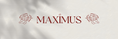 Load image into Gallery viewer, Maximus Collection Digital Print-Ready Files
